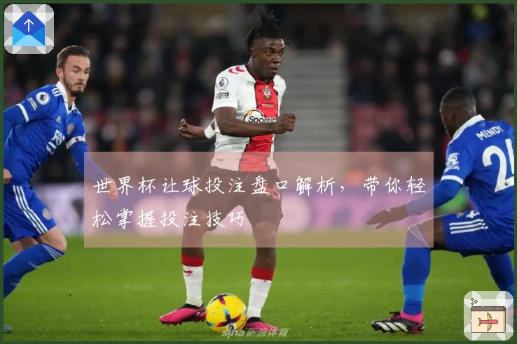 世界杯让球投注盘口解析，带你轻松掌握投注技巧