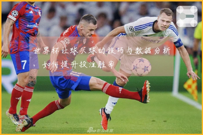 世界杯让球买球的技巧与数据分析，如何提升投注胜率