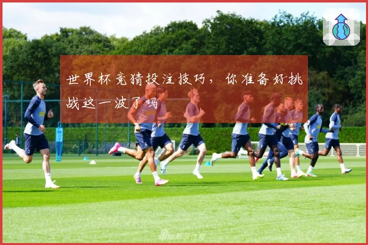 世界杯竞猜投注技巧，你准备好挑战这一波了吗