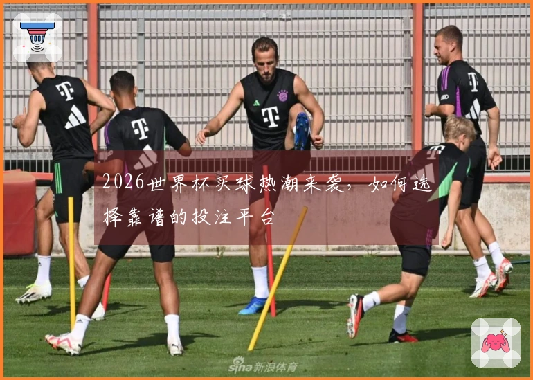 2026世界杯买球热潮来袭，如何选择靠谱的投注平台