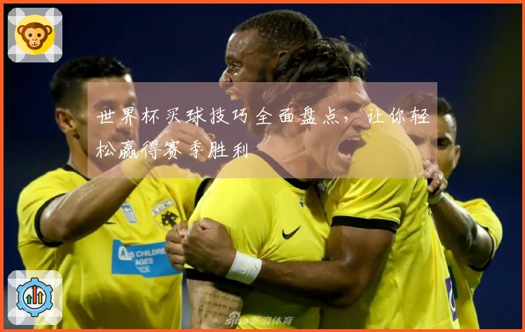 世界杯买球技巧全面盘点，让你轻松赢得赛季胜利