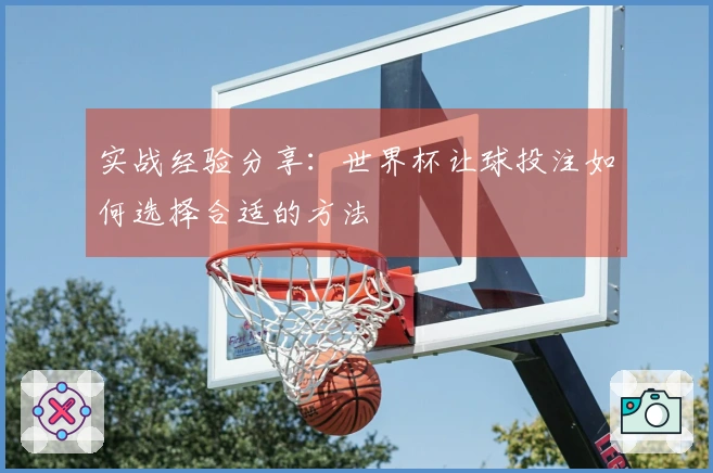 实战经验分享：世界杯让球投注如何选择合适的方法